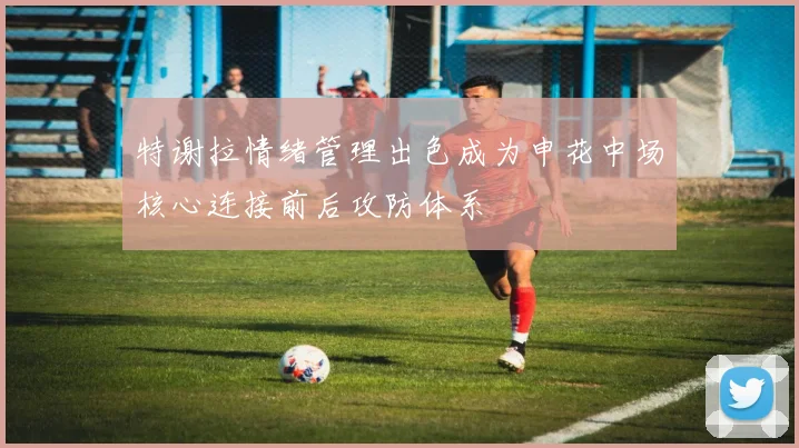 特谢拉情绪管理出色成为申花中场核心连接前后攻防体系